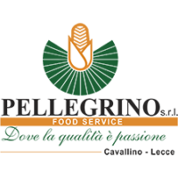 Pellegrino-srl-logo-1-200x200